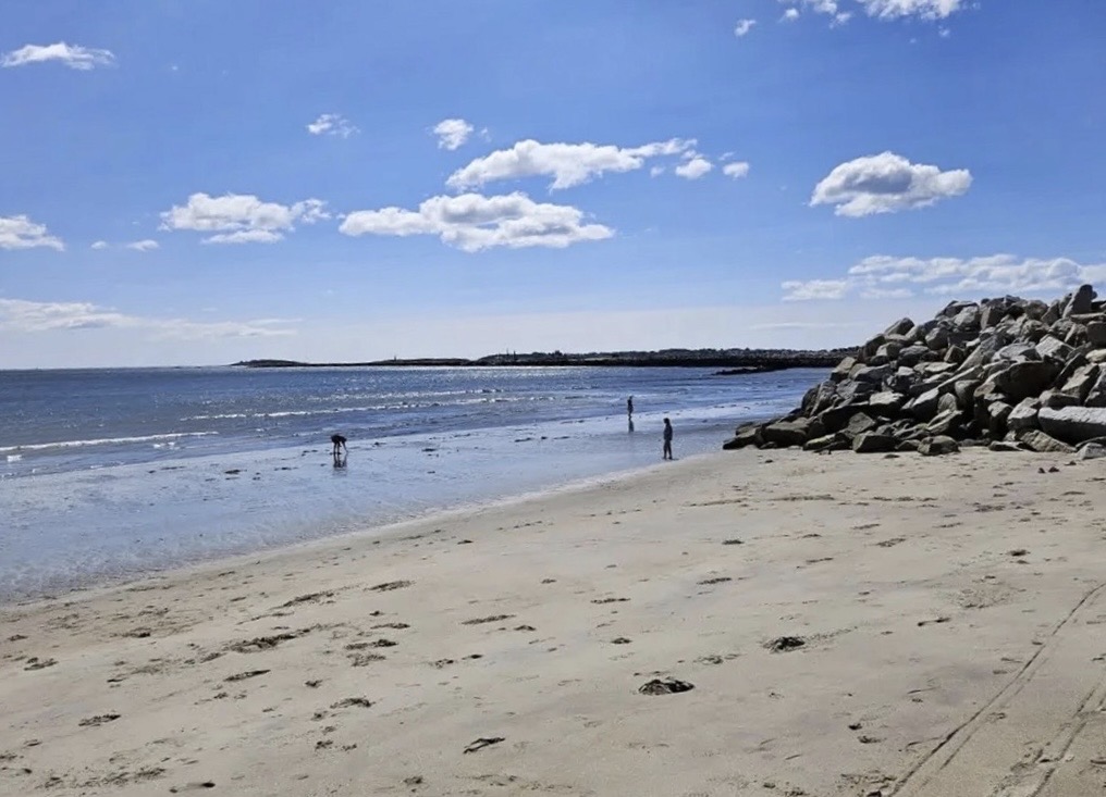 Sandy beach with blue sky
